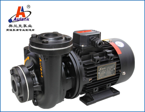 空壓機高溫熱油泵