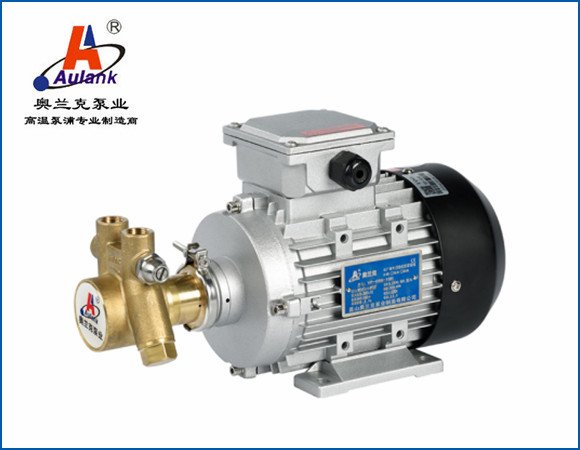 凈水設備用葉片泵